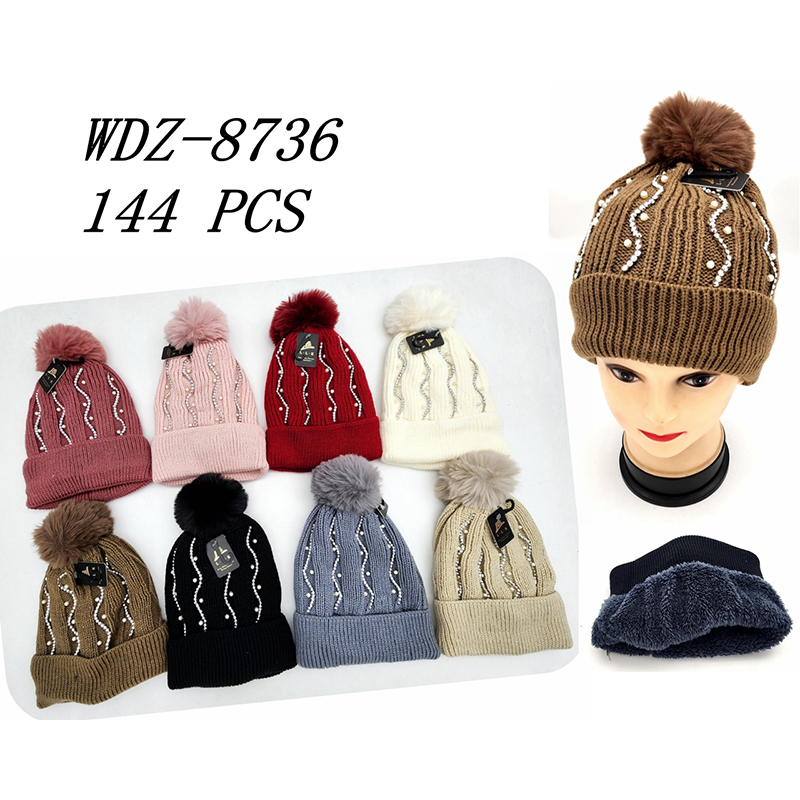 WDZ-8736 CS144